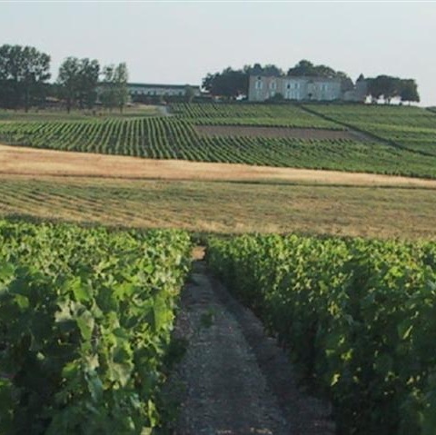 GRANDS VIGNOBLES LOUBRIE