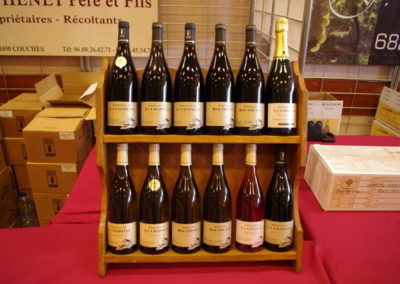 Lions-Annecy-Lac-Salon-des-Vins-2014-Pentax-29